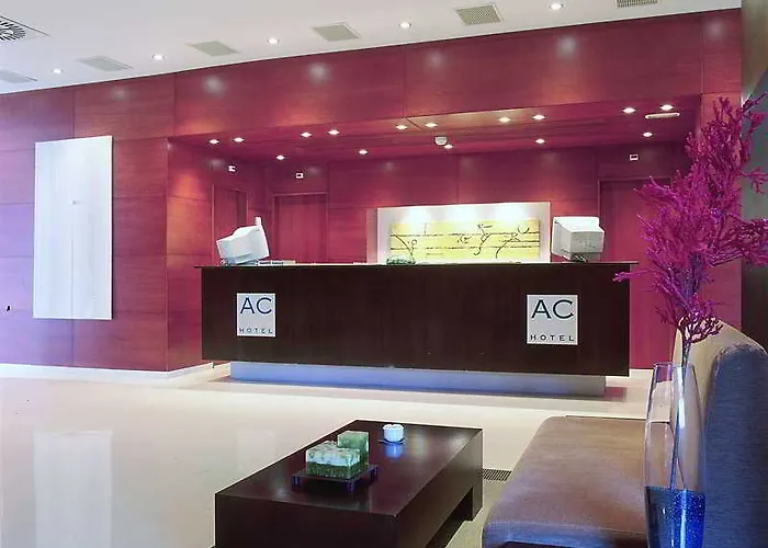 Hotel B&B Hotel Elche 3*